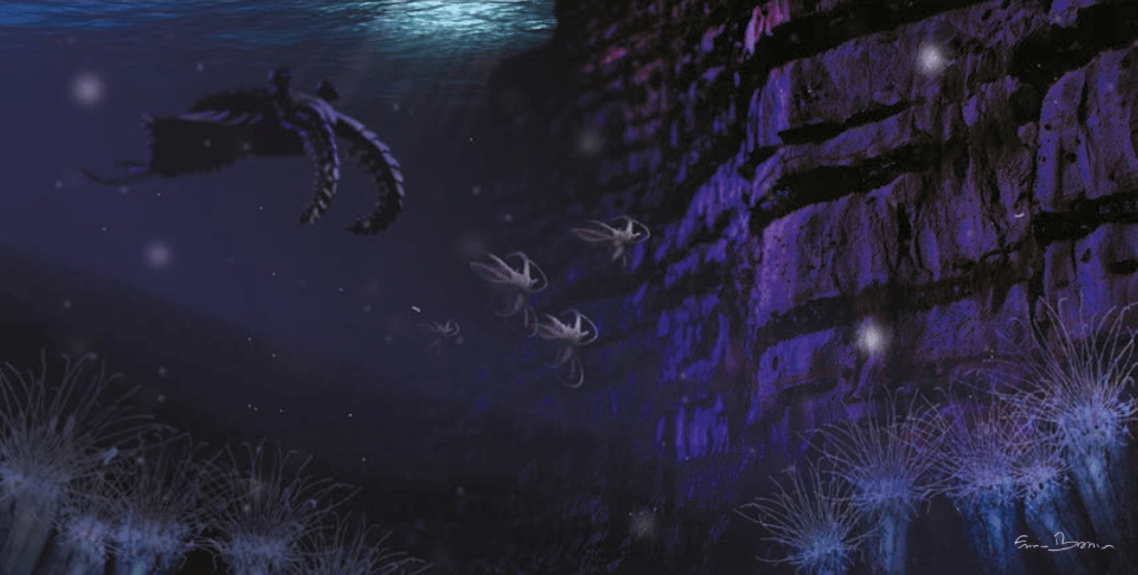 Burgess Shale Formation, Anomalocaris and group of Marrella splendens