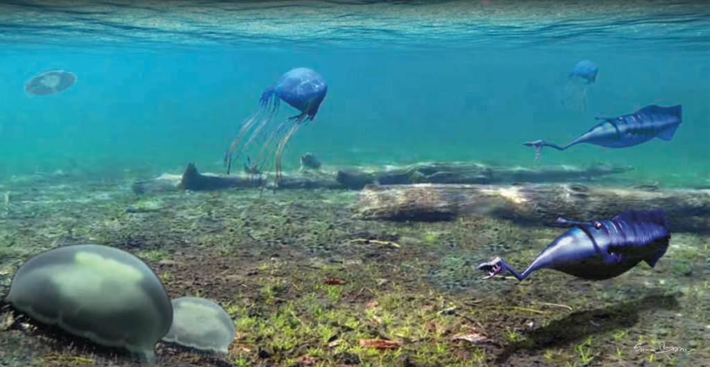 A couple of Tullimonstrum gregarium with jellyfishes swimming in backrish water