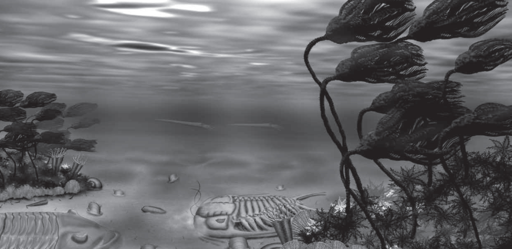 Bobcaygeon Formation (Upper Ordovician). a couple of Gabriceraurus dentatus trilobites and crinoids